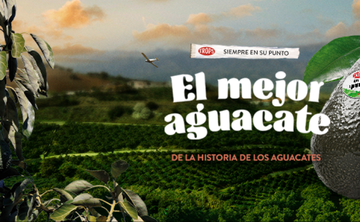 Imagen de la campaña promocional del aguacate lanzada por Trops. 