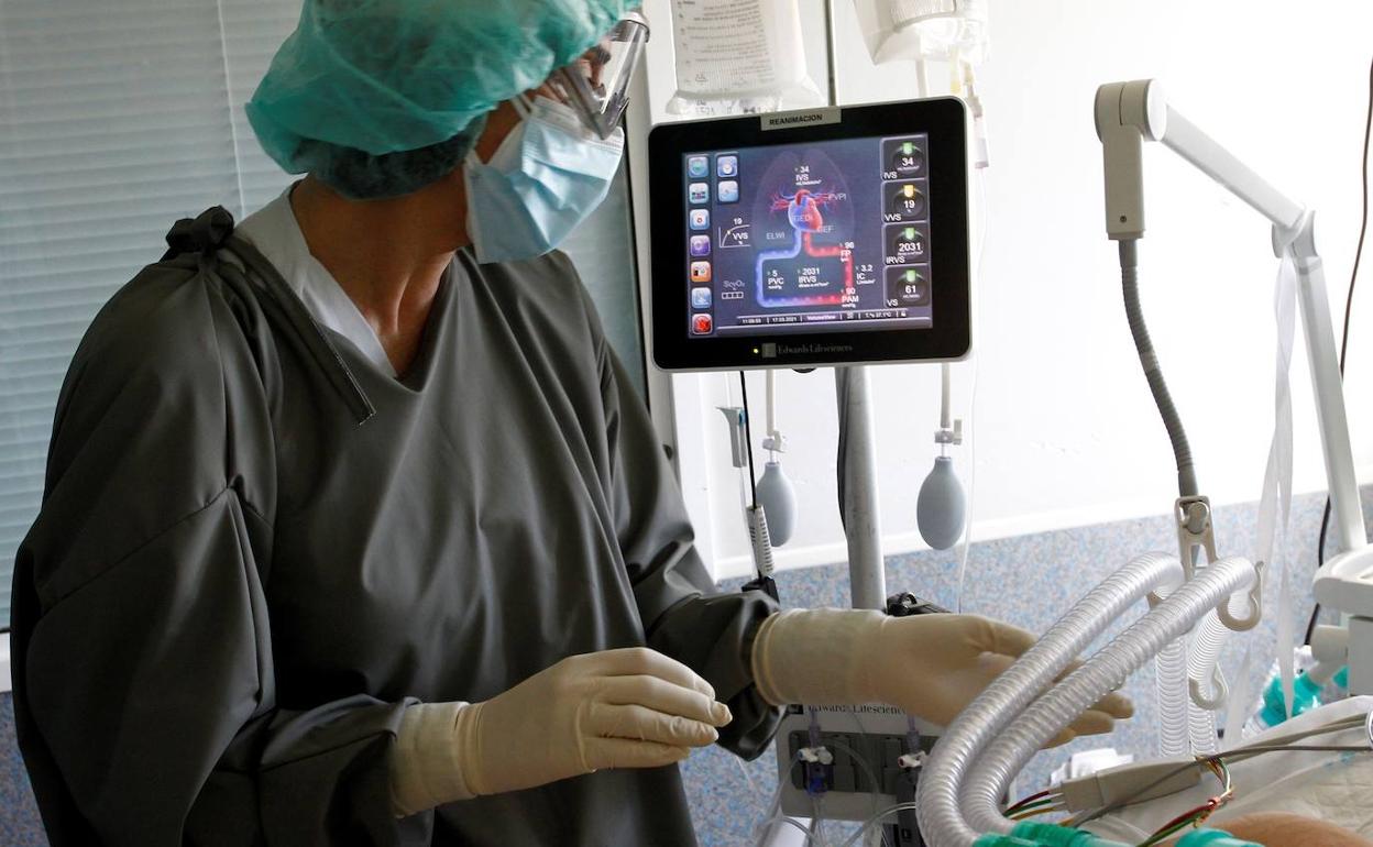 Andalucía supera las 9.000 muertes por Covid tras registrar 48 en las últimas 24 horas