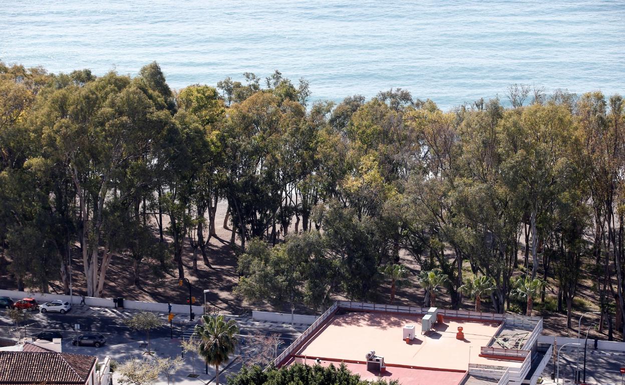 Vista área del bosquete de eucaliptos donde se ha previsto el parque de los Baños del Carmen. 