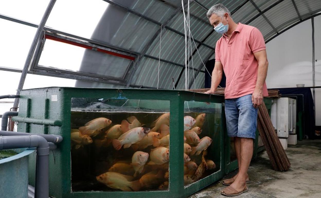 La imagen muestra uno de los acuarios que forman parte del inventario del Aula del Mar. 