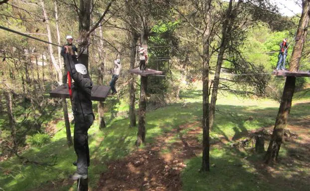 Arborismo en la sierra de Camarolos.