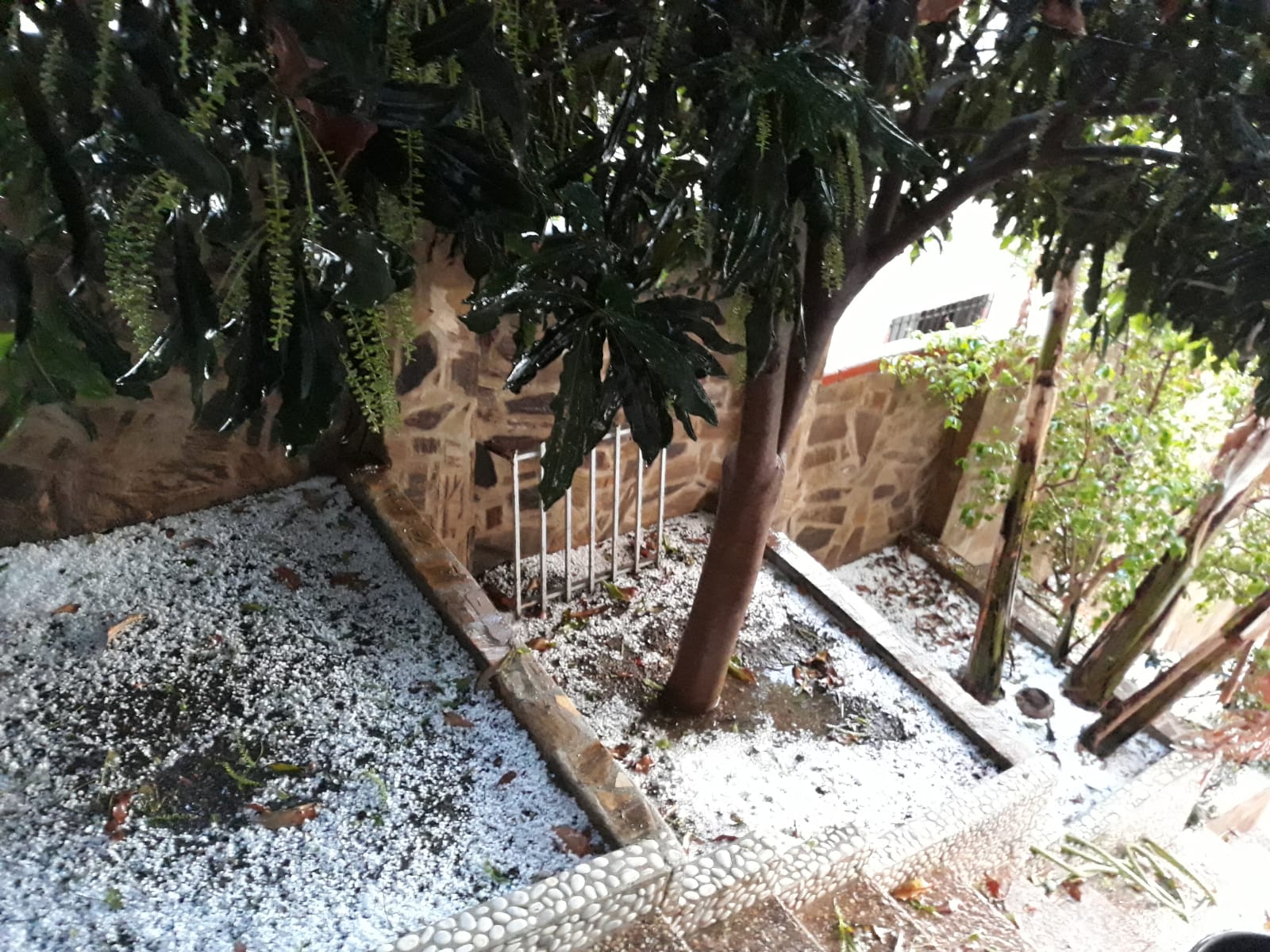 Fotos: Insólita imagen de la playa de Benajarafe tras la fuerte granizada de esta mañana