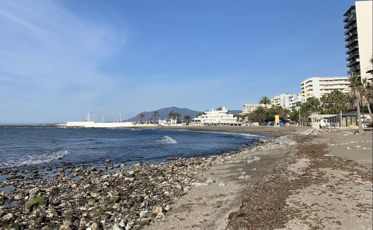 El Levante saca a la luz la proliferación de algas sobre la que advierte Produnas. 