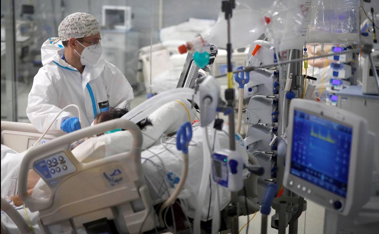 Coronavirus: Un estudio revela una terapia previa que puede reducir la mortalidad y las complicaciones derivadas del Covid