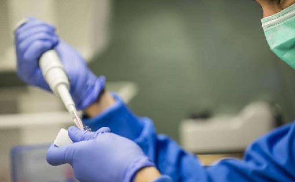 Coronavirus: Un estudio advierte de que el Covid-19 puede afectar a la fertilidad masculina