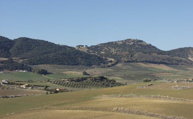 El territorio de Arriate sólo limita con el término municipal de Ronda.