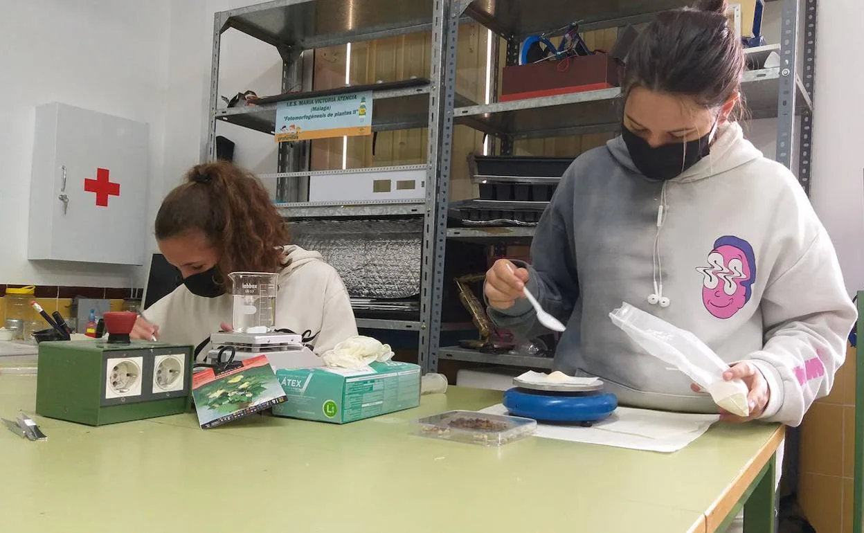 Noelia González Pons y Ana García Dueñas, de tercer curso de la ESO en el María Victoria Atencia, trabajan en su proyecto. 