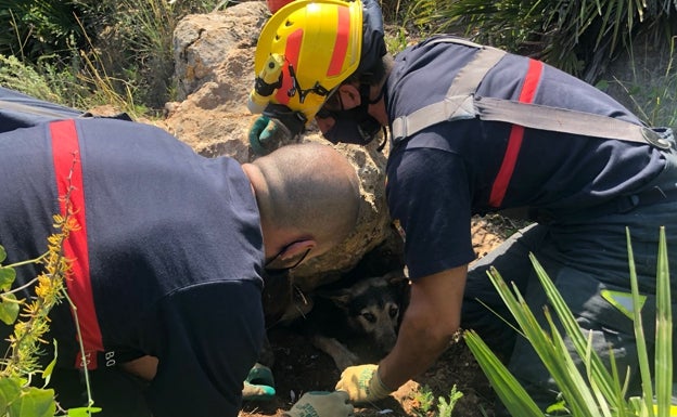 Un momento del rescate llevado a cabo por efectivos del Real Cuerpo de Bomberos de Málaga.