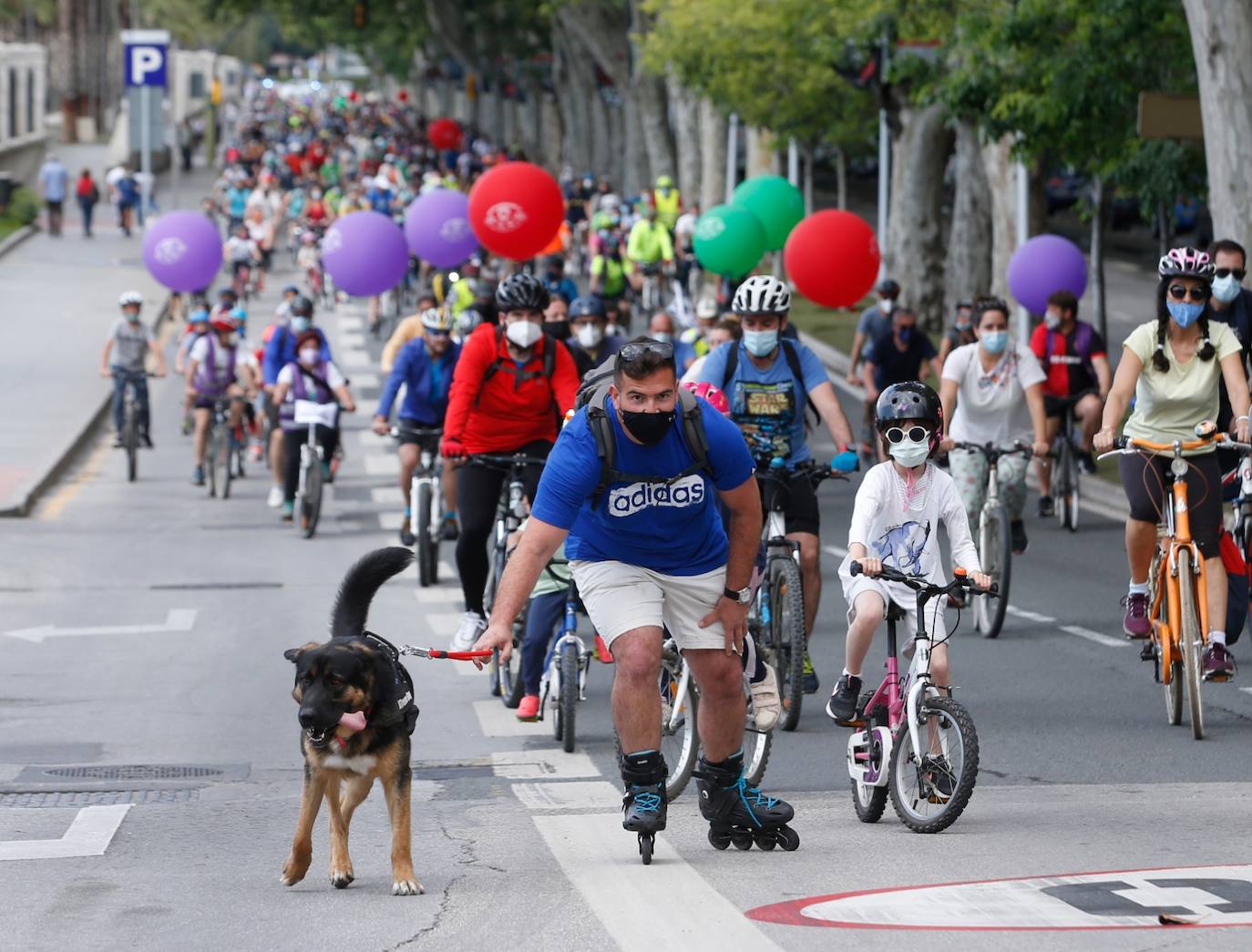 Ruedas Redondas ha celebrado este domingo la segunda 'bicifestación'. 