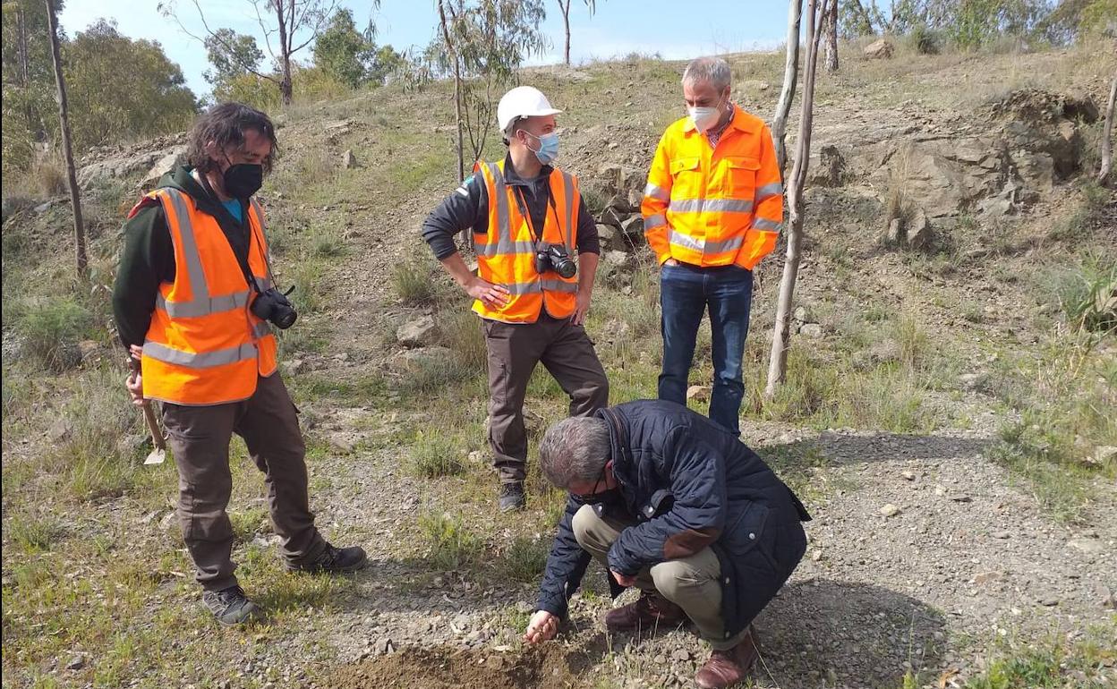 Enrique Salvo Tierra, agachado, excava con compañeros en la finca donde se lleva a cabo esta iniciativa. 