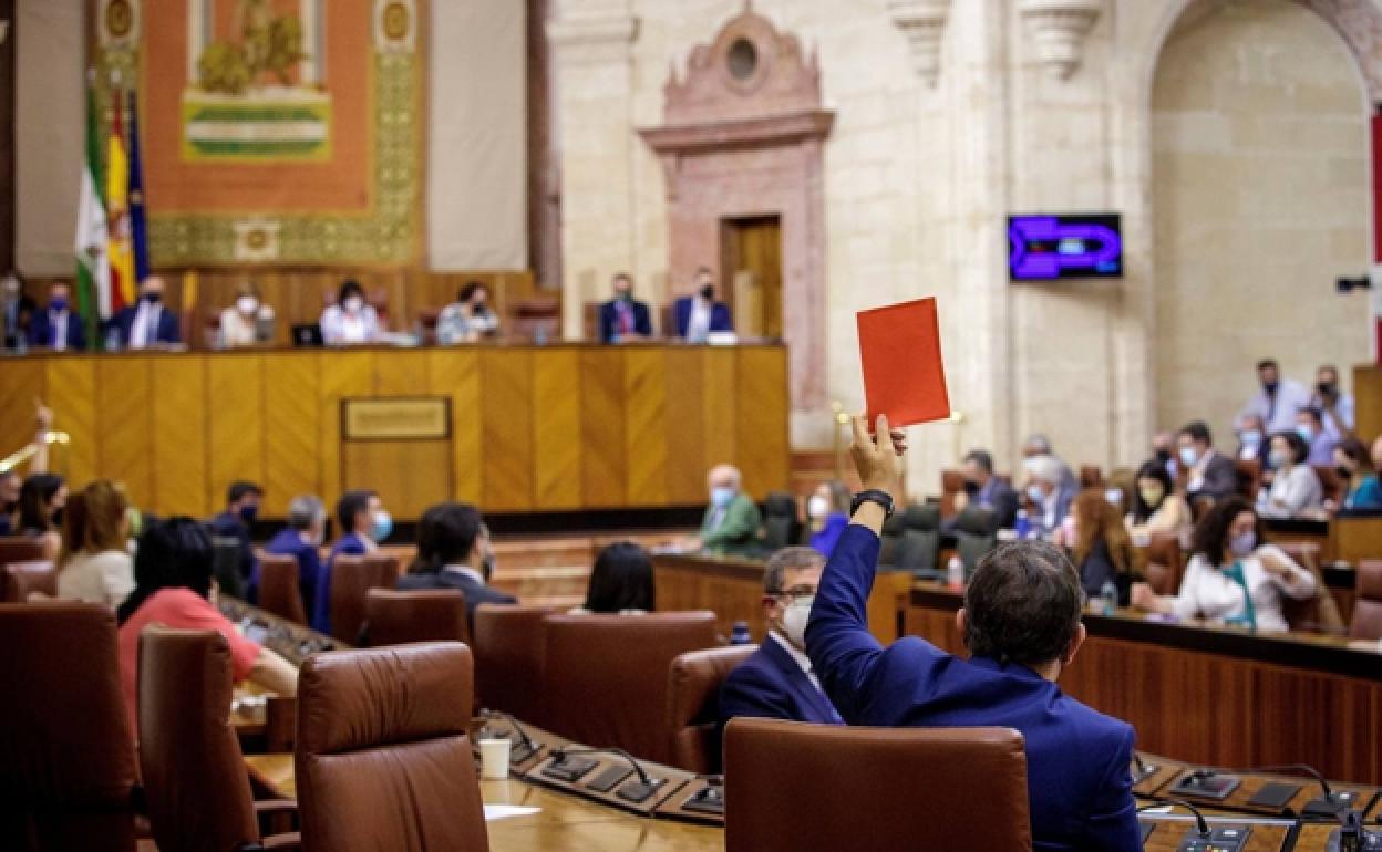 Un momento de una de las votaciones desde los escaños de Vox. 