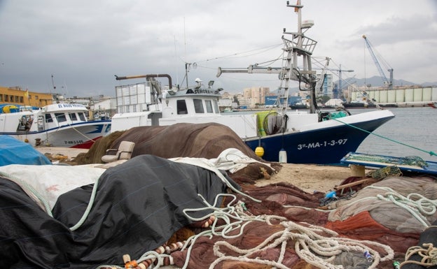 Imagen principal - Arriba, flota amarrada en el puerto pesquero de la capital y abajo, dos momentos de las protestas en Caleta de Vélez. 