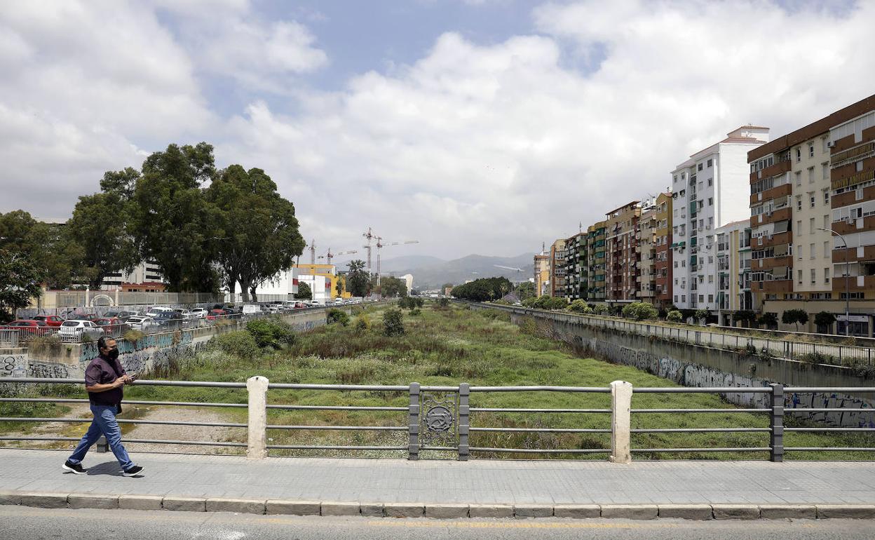 La vegetación ha crecido de manera incontrolada en los últimos meses y es constante la presencia de agua estancada.