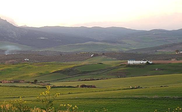 La Vega de Cañete La Real, en la que se prevén estas instalaciones 