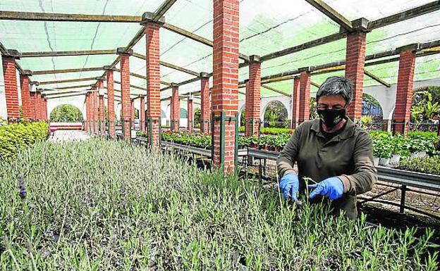 Imagen principal - Arriba, Inmaculada Lobato, al cargo del vivero de pequeñas plantas. Sobre estas líneas, centro de control del riego y el abonado del vivero y parcela preparada para la cría de arboles de gran porte con destino a los montes