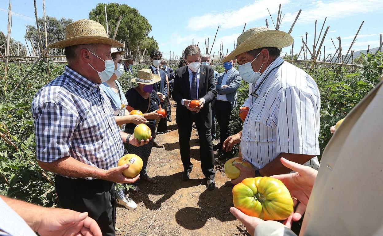Los agricultores del Guadalhorce destacan la «cercanía» del ministro Planas en su visita a las huertas de Coín