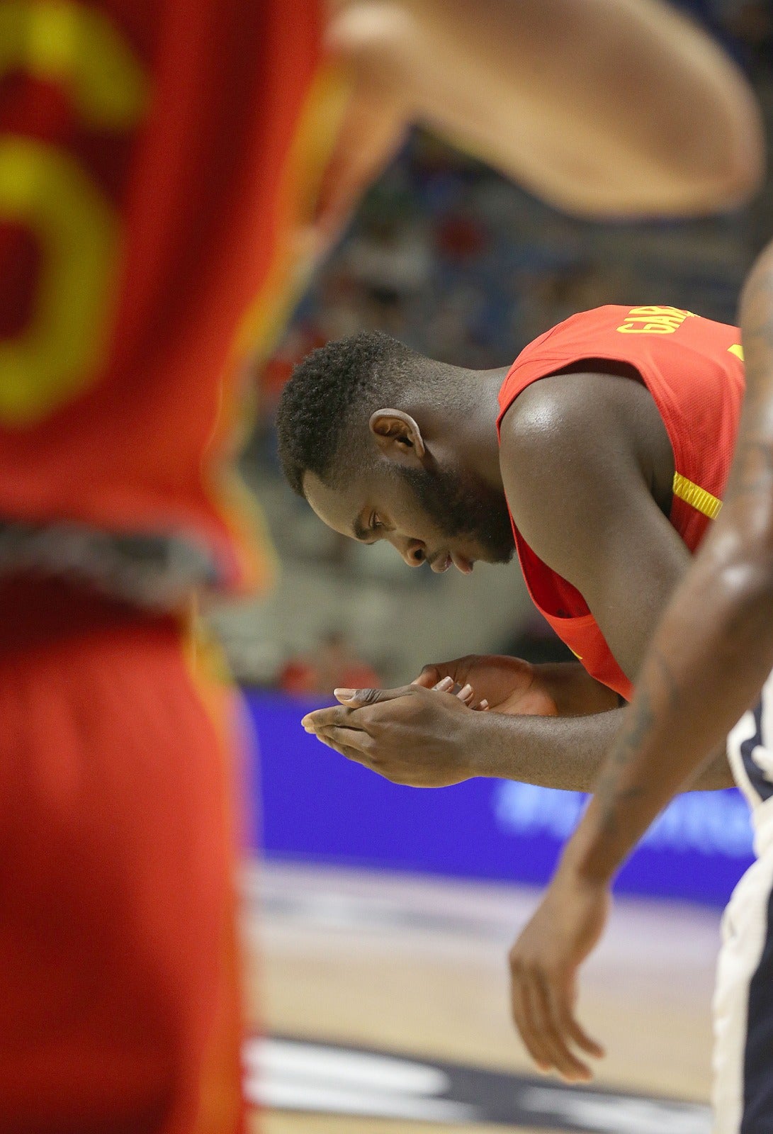 El Martín Carpena se convierte en talismán para una Selección con Pau Gasol como principal atractivo (86-77)