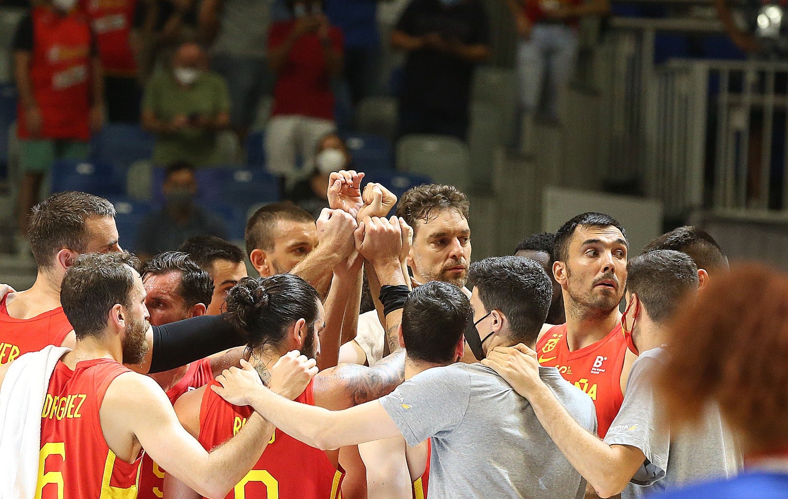 El Martín Carpena se convierte en talismán para una Selección con Pau Gasol como principal atractivo (86-77)