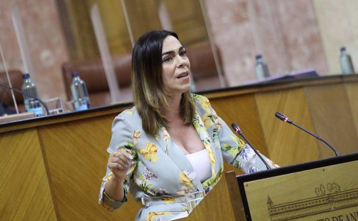 La diputada de Cs en el Parlamento andaluz, Teresa Pardo. 