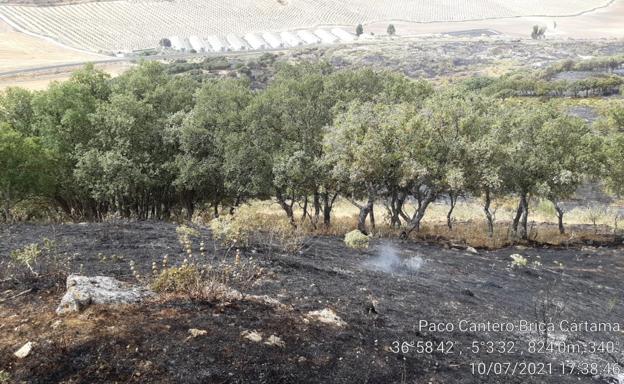 Vista del incendio publicada en los canales oficiales de Infoca. 