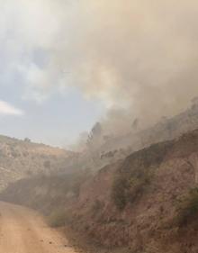 Imagen secundaria 2 - Estabilizado el incendio forestal en Serrato