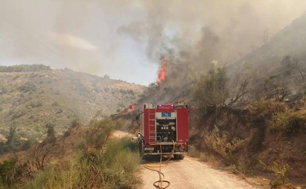 Imagen principal - Estabilizado el incendio forestal en Serrato