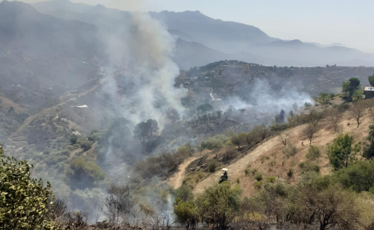 Imagen del incendio declarado este lunes en el entorno de la Finca La Palmera en Torrox. 