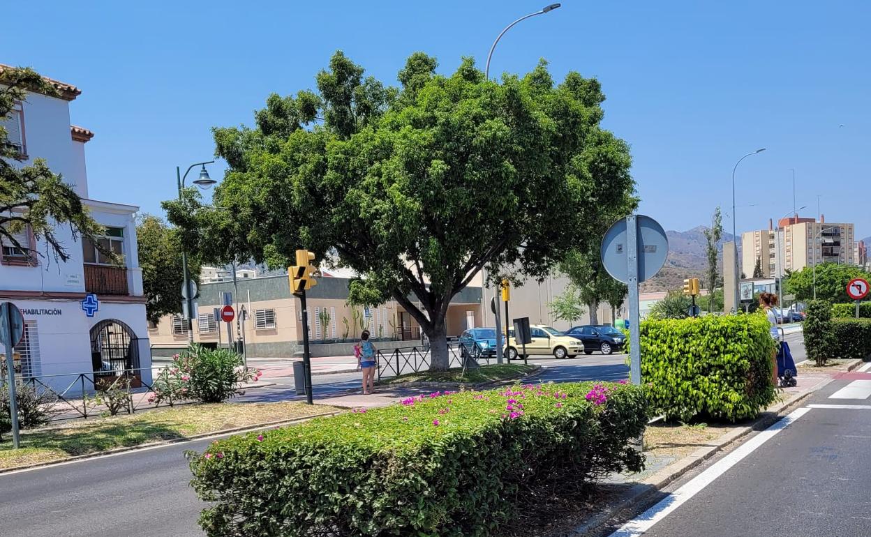 Vista de una señora cruzando mientras la tapa uno de los arbustos, no de los más altos. 