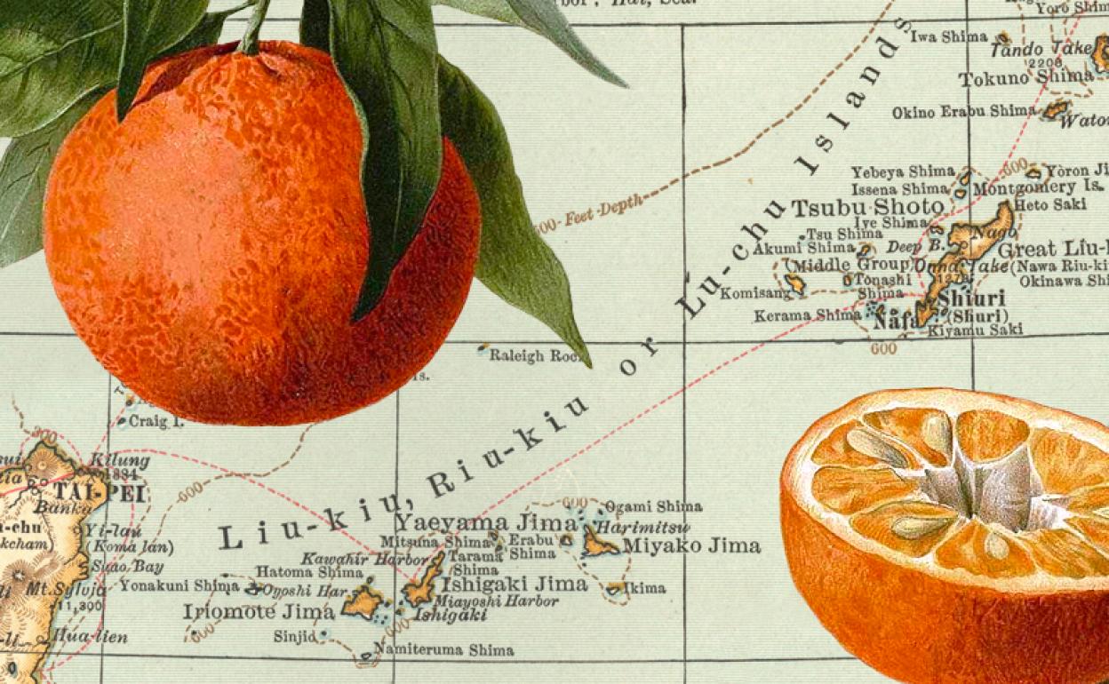 Ilustración botánica de mandarinas y mapa de las islas Ryūkyū (CC PD).