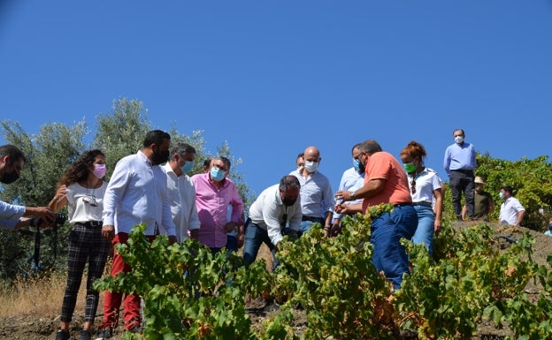 Imagen principal - Tres imágenes de la visita de Juan Espadas este viernes a la Axarquía. 