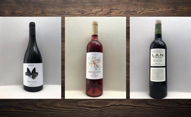 La cata: los vinos recomendados de la primera semana de septiembre