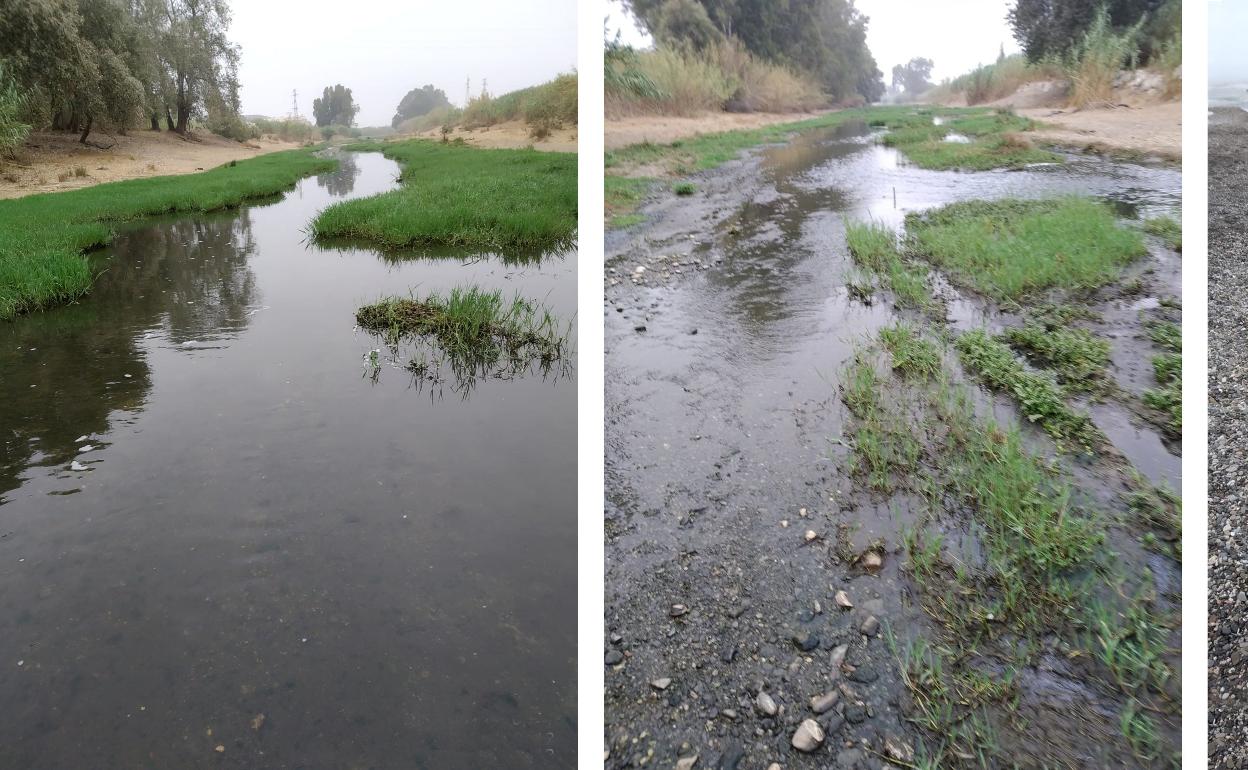 Imagen de varios tramos del río veleño con agua depurada por el vertido temporal que debía ir al emisario. 