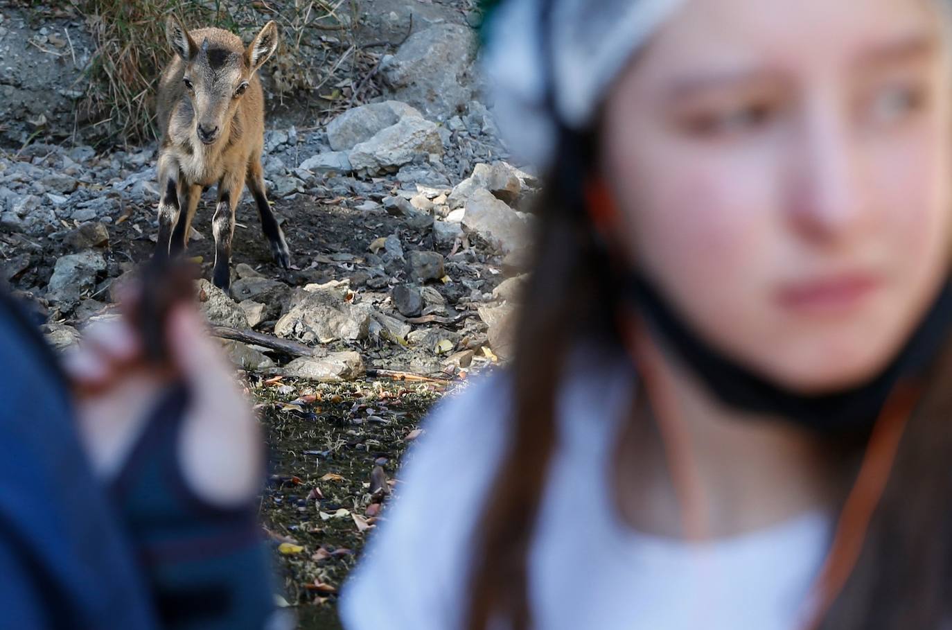 La joya natural del interior de Málaga se ha convertido en una parada indispensable para muchos visitantes españoles y extranjeros que recorren la provincia 