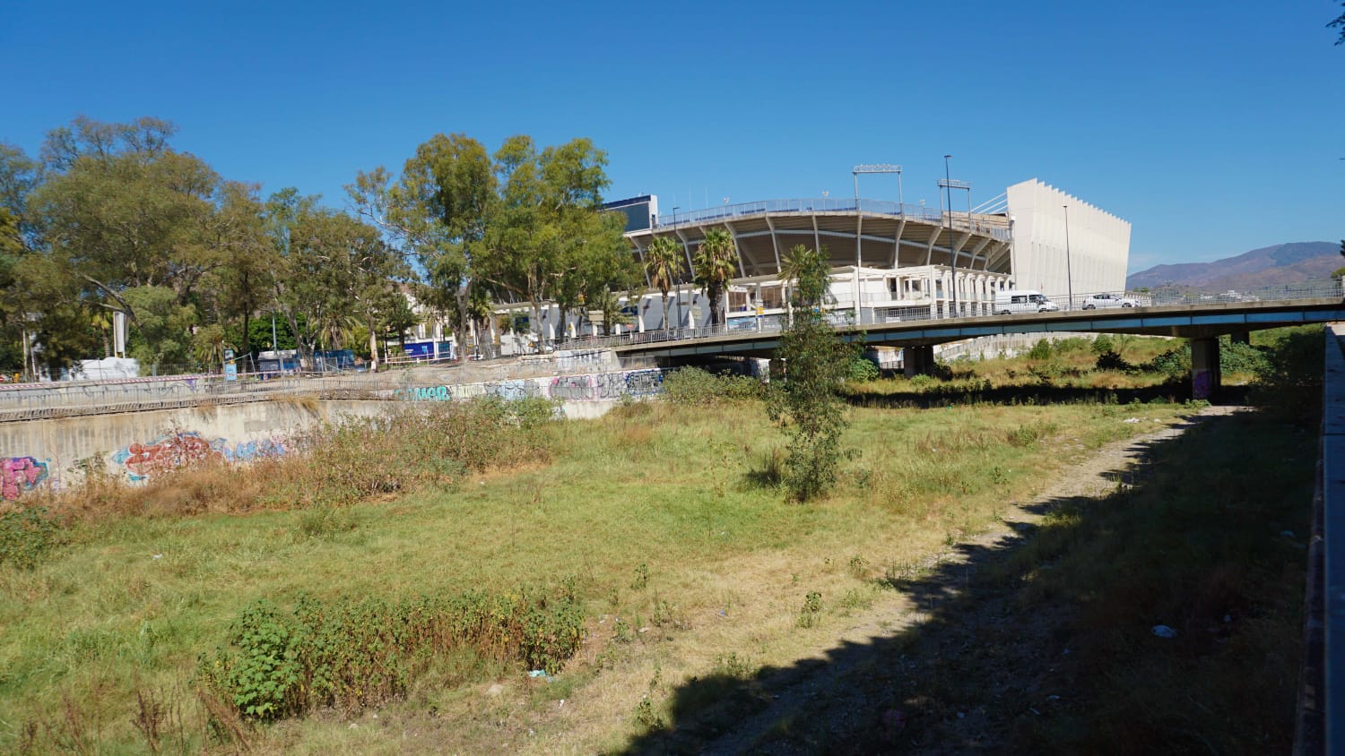 Expertos de la UMA advierten de que la vegetación descontrolada merma la capacidad de desagüe del río en caso de trombas