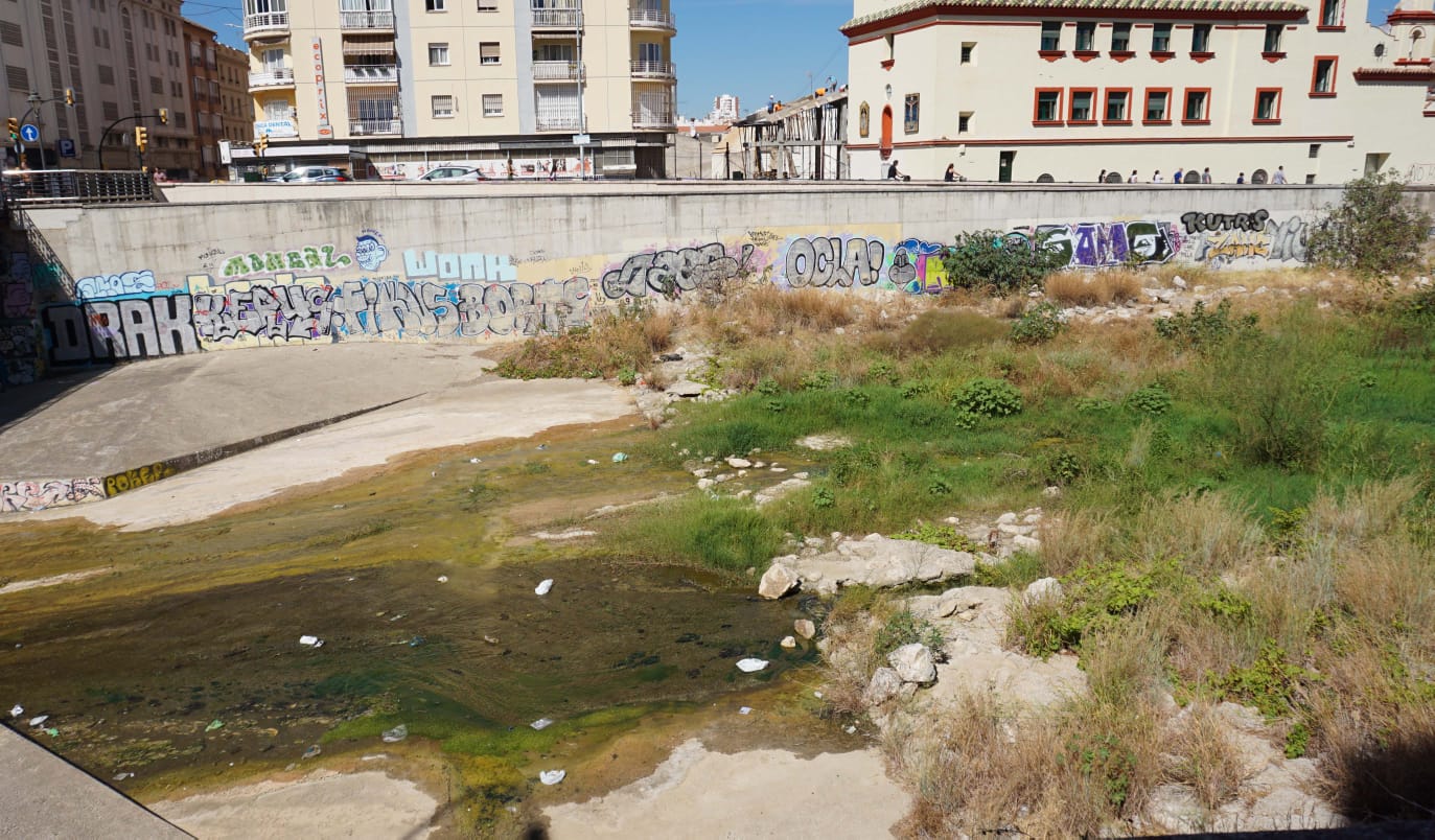 Expertos de la UMA advierten de que la vegetación descontrolada merma la capacidad de desagüe del río en caso de trombas