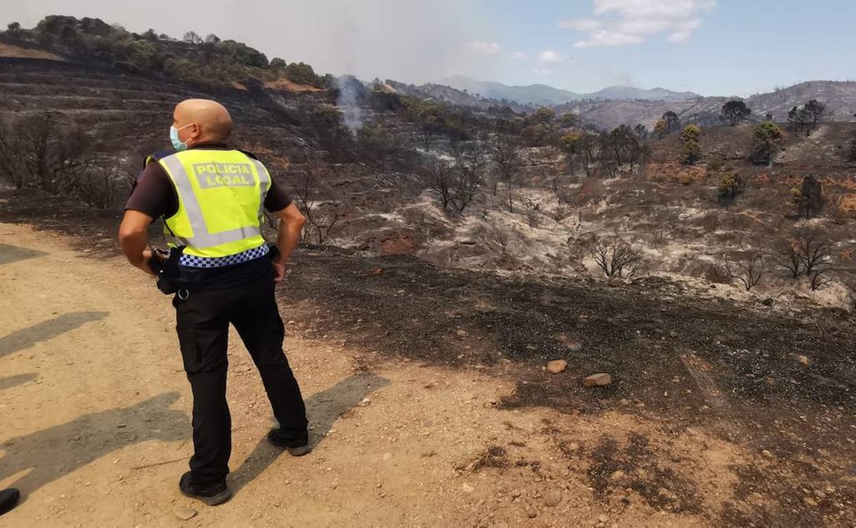 Incendio en Málaga: Aumentan a 939 los desalojados por el fuego en Sierra Bermeja