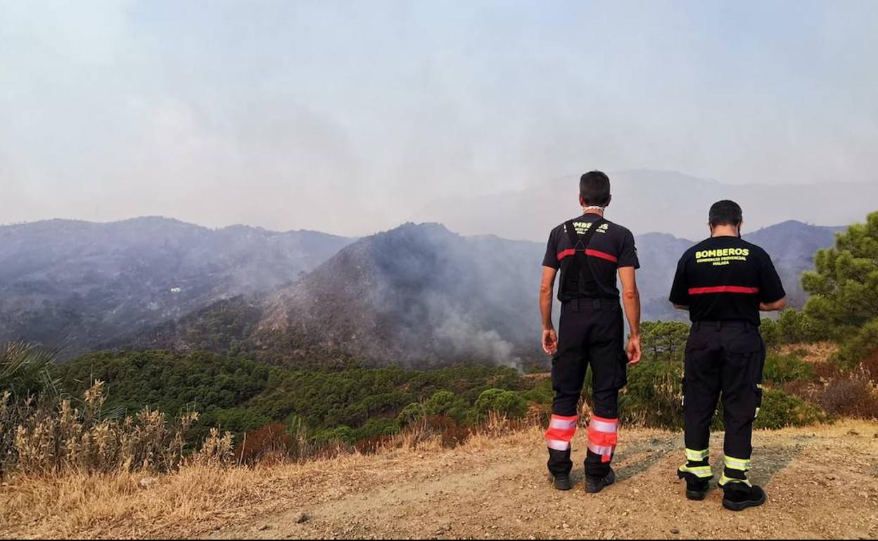 Incendio en Málaga: Infoca eleva a 29 aviones y helicópteros los medios aéreos para enfrentarse al incendio que afecta Estepona, Jubrique y Genalguacil