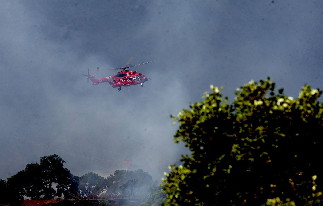 Más de 250 profesionales de Málaga, Granada, Cádiz, Córdoba, Jaén y Sevilla trabajan desde anoche en la zona de Sierra Bermeja donde se ha tenido que cortar al tráfico un tramo de la AP-7 y otras dos carreteras ante el avance de las llamas