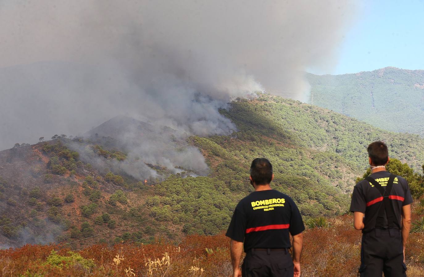 Más de 250 profesionales de Málaga, Granada, Cádiz, Córdoba, Jaén y Sevilla trabajan desde anoche en la zona de Sierra Bermeja donde se ha tenido que cortar al tráfico un tramo de la AP-7 y otras dos carreteras ante el avance de las llamas