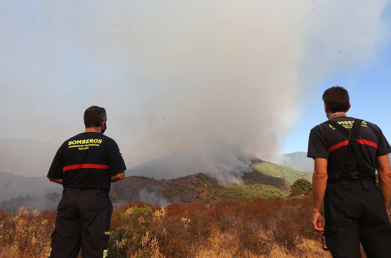 Más de 250 profesionales de Málaga, Granada, Cádiz, Córdoba, Jaén y Sevilla trabajan desde anoche en la zona de Sierra Bermeja donde se ha tenido que cortar al tráfico un tramo de la AP-7 y otras dos carreteras ante el avance de las llamas