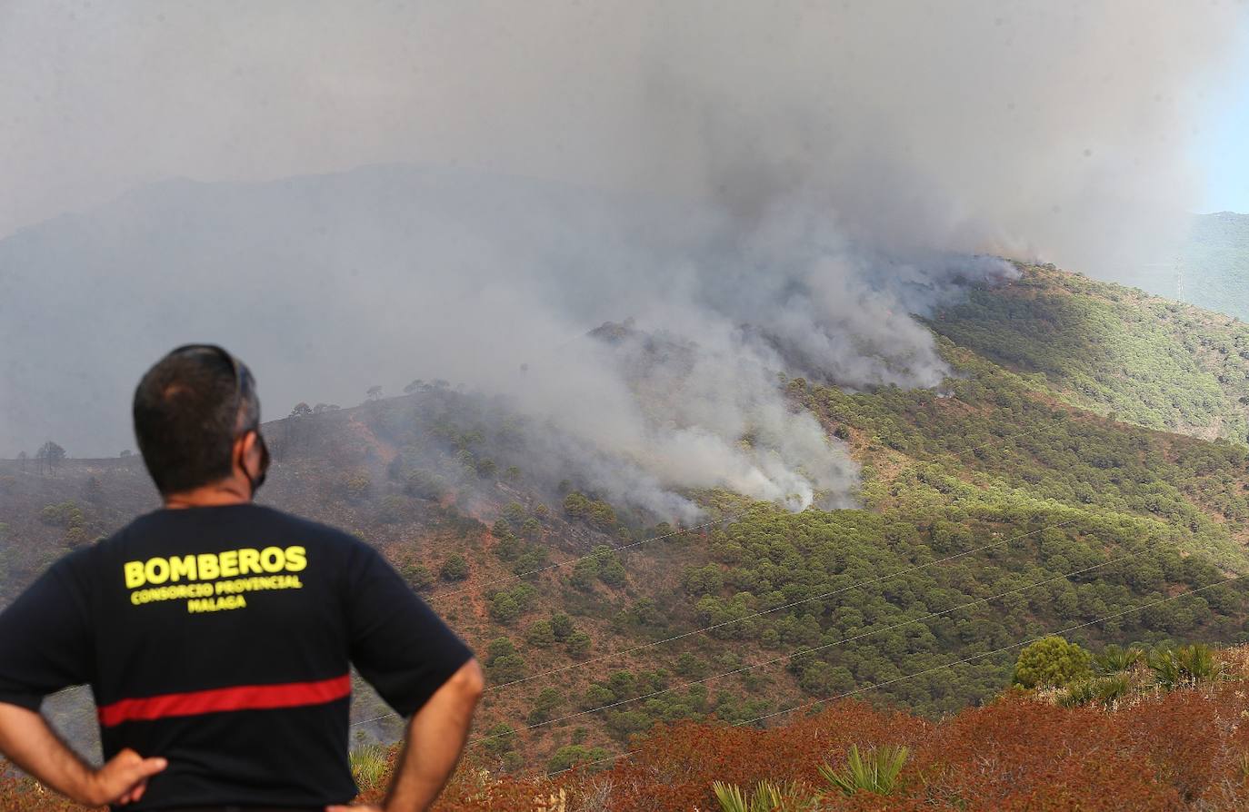 Más de 250 profesionales de Málaga, Granada, Cádiz, Córdoba, Jaén y Sevilla trabajan desde anoche en la zona de Sierra Bermeja donde se ha tenido que cortar al tráfico un tramo de la AP-7 y otras dos carreteras ante el avance de las llamas