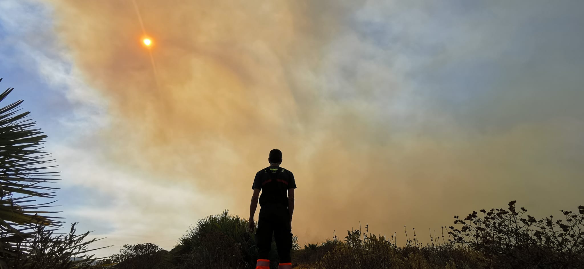 Más de 250 profesionales de Málaga, Granada, Cádiz, Córdoba, Jaén y Sevilla trabajan desde anoche en la zona de Sierra Bermeja donde se ha tenido que cortar al tráfico un tramo de la AP-7 y otras dos carreteras ante el avance de las llamas