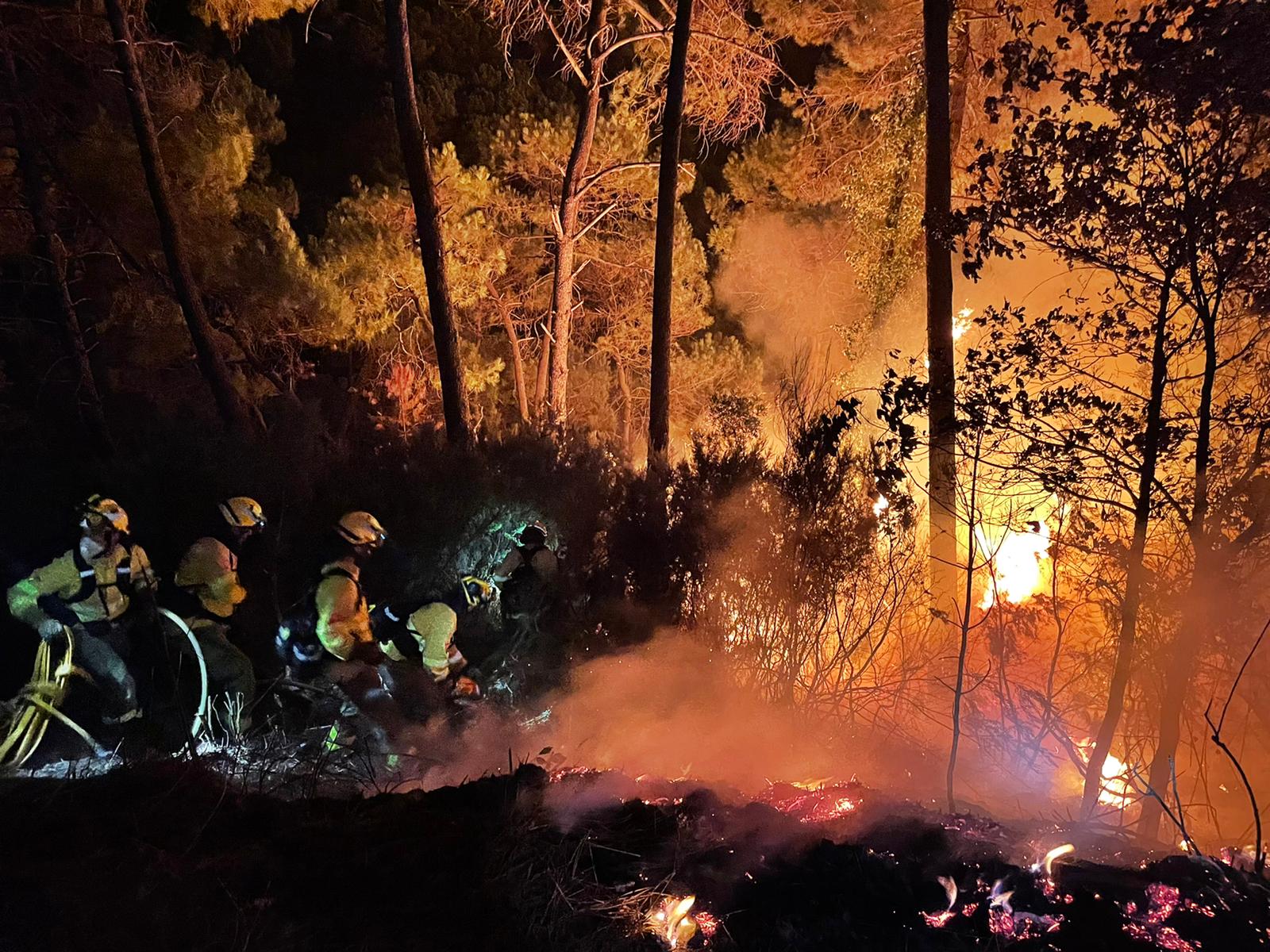 Más de 250 profesionales de Málaga, Granada, Cádiz, Córdoba, Jaén y Sevilla trabajan desde anoche en la zona de Sierra Bermeja donde se ha tenido que cortar al tráfico un tramo de la AP-7 y otras dos carreteras ante el avance de las llamas