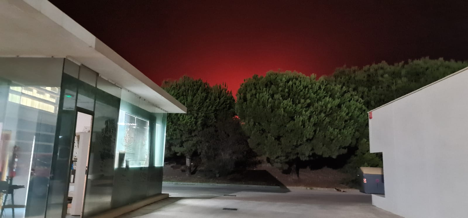 Más de 250 profesionales de Málaga, Granada, Cádiz, Córdoba, Jaén y Sevilla trabajan desde anoche en la zona de Sierra Bermeja donde se ha tenido que cortar al tráfico un tramo de la AP-7 y otras dos carreteras ante el avance de las llamas