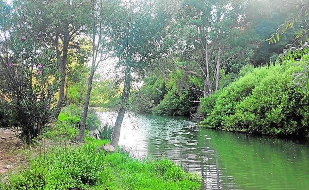 La ribera del Guadiaro es uno de los principales atractivos que tiene esta villa malagueña. .