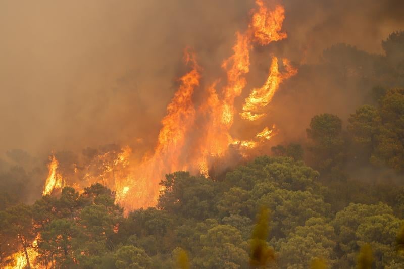 A primera hora de la mañana, la Junta eleva ha elevado a nivel 2 el plan de emergencias en Sierra Bermeja por un incendio que llega al grado E, el máximo de la catalogación del Plan Infoca. Con esta catalogación, ya se pueden solicitar la incorporación de medios extraordinarios estatales, como el caso de la UME. Así, tras la declaración del nivel 2, que implica que la dirección regional del COR asume el mando, se ha decidido reforzar el operativo con 2 FOCAS (hidroaviones) más del Estado a los 4 ya en operativo desde ayer y 1 helicóptero KAMOV. Además, se ha solicitado ya dos BRIF del Estado con 11 efectivos cada uno y un helicóptero. En total 5 medios aéreos más y 22 efectivos para el refuerzo para lograr vencer a las llamas.