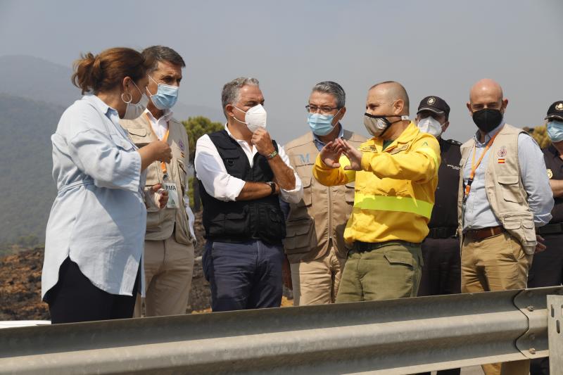 A primera hora de la mañana, la Junta eleva ha elevado a nivel 2 el plan de emergencias en Sierra Bermeja por un incendio que llega al grado E, el máximo de la catalogación del Plan Infoca. Con esta catalogación, ya se pueden solicitar la incorporación de medios extraordinarios estatales, como el caso de la UME. Así, tras la declaración del nivel 2, que implica que la dirección regional del COR asume el mando, se ha decidido reforzar el operativo con 2 FOCAS (hidroaviones) más del Estado a los 4 ya en operativo desde ayer y 1 helicóptero KAMOV. Además, se ha solicitado ya dos BRIF del Estado con 11 efectivos cada uno y un helicóptero. En total 5 medios aéreos más y 22 efectivos para el refuerzo para lograr vencer a las llamas.