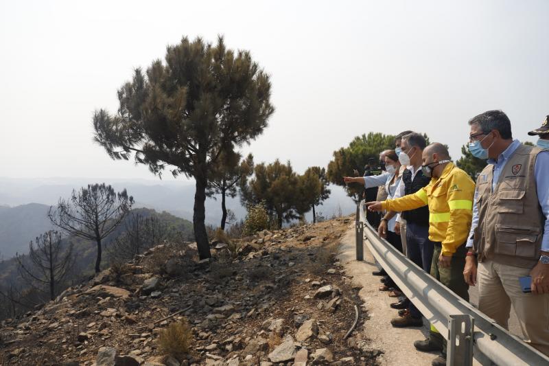 A primera hora de la mañana, la Junta eleva ha elevado a nivel 2 el plan de emergencias en Sierra Bermeja por un incendio que llega al grado E, el máximo de la catalogación del Plan Infoca. Con esta catalogación, ya se pueden solicitar la incorporación de medios extraordinarios estatales, como el caso de la UME. Así, tras la declaración del nivel 2, que implica que la dirección regional del COR asume el mando, se ha decidido reforzar el operativo con 2 FOCAS (hidroaviones) más del Estado a los 4 ya en operativo desde ayer y 1 helicóptero KAMOV. Además, se ha solicitado ya dos BRIF del Estado con 11 efectivos cada uno y un helicóptero. En total 5 medios aéreos más y 22 efectivos para el refuerzo para lograr vencer a las llamas.