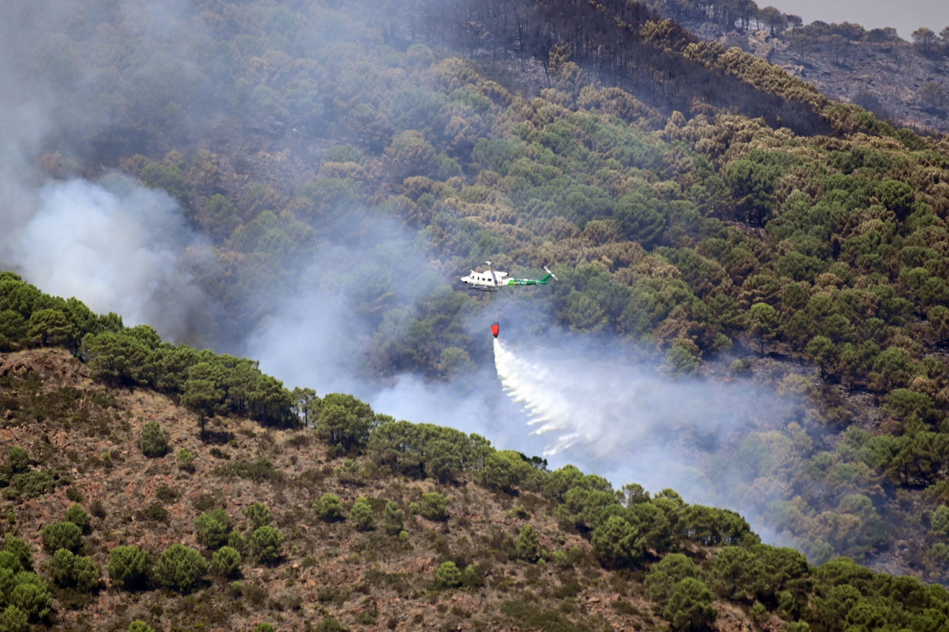 Este sábado se han movilizado 41 medios aéreos y unos 400 efectivos por tierra para luchar contra las llamas que no han afectado al pinsapar de la zona. Los nuevos desalojos elevan a 1.054 el número total de evacuados