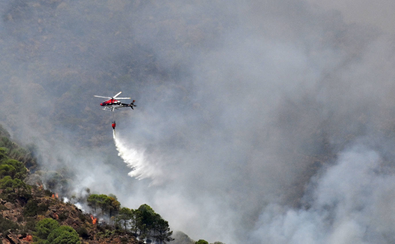 Este sábado se han movilizado 41 medios aéreos y unos 400 efectivos por tierra para luchar contra las llamas que no han afectado al pinsapar de la zona. Los nuevos desalojos elevan a 1.054 el número total de evacuados